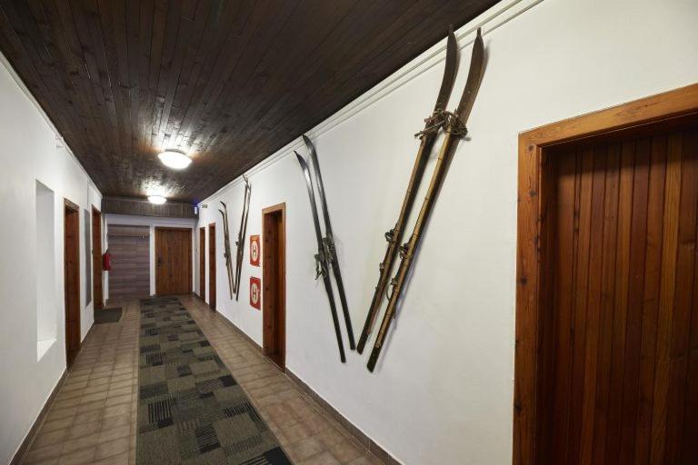 Horska Chata Jestedka Svetla pod Jestedem Buitenkant foto